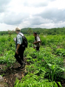 An Individual's Search for the Ancient Maya