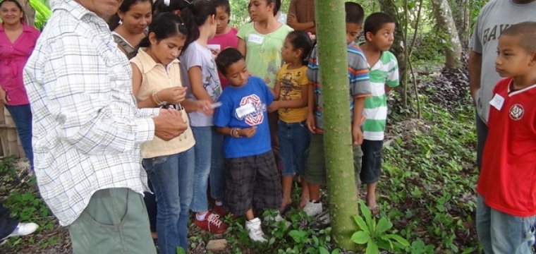 Forest Garden Education ~ Känan K’aax 