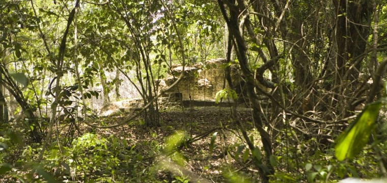 The Ancient Maya House and Forest Garden at Tzunu’un