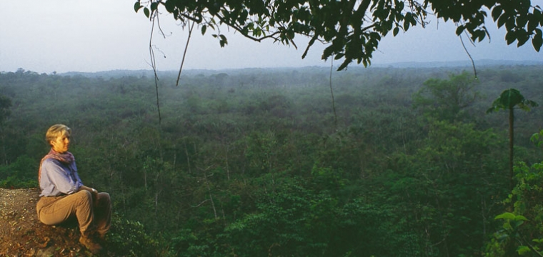 El Pilar Landscape