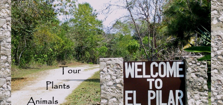 El Pilar Interactive Trail Guide